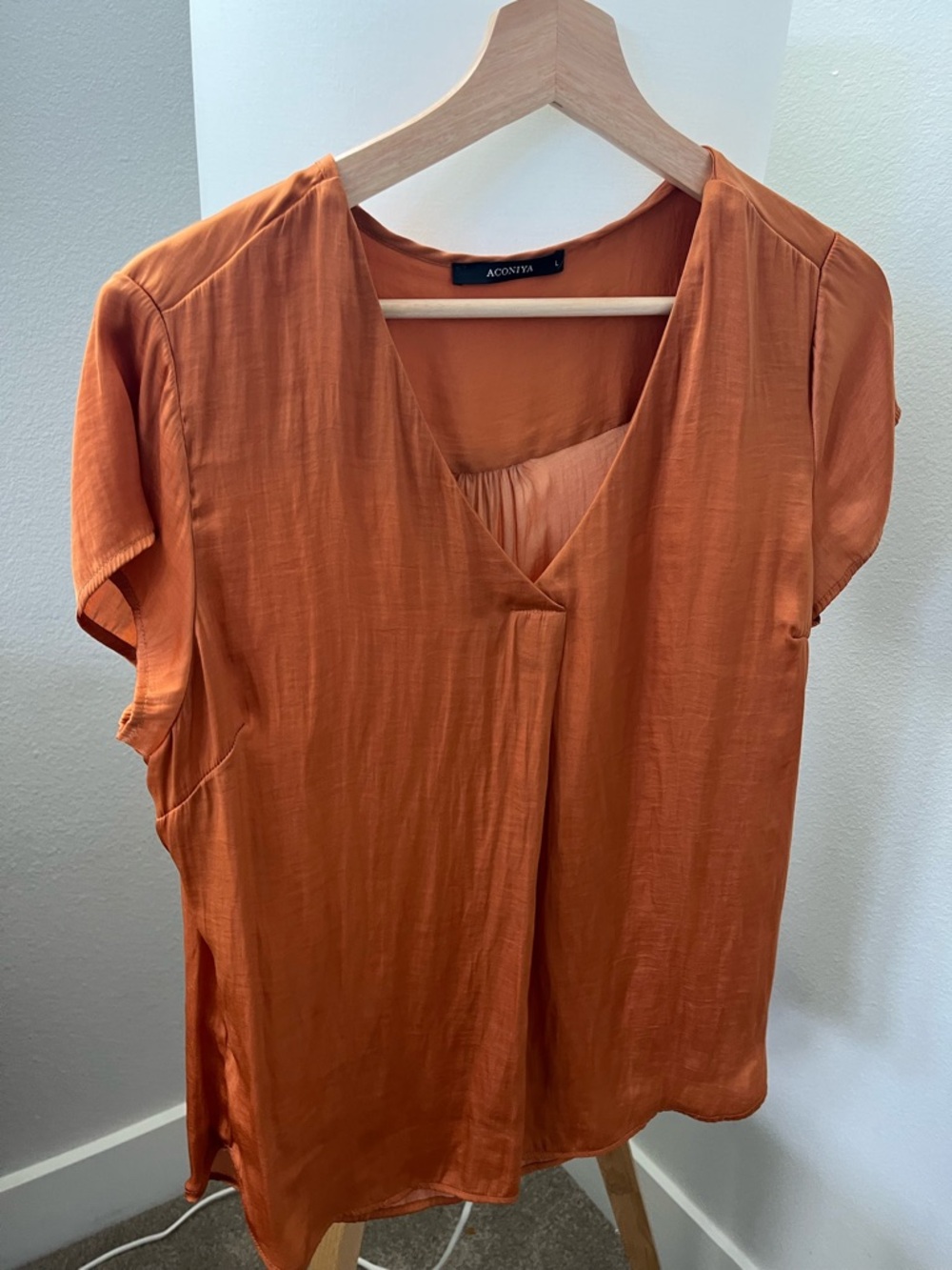 Women's Burnt Orange V-Neck Short Sleeve Blouse